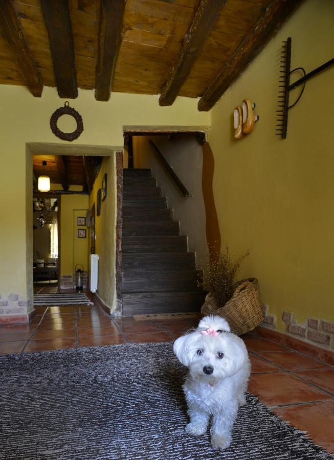 La Casita De Leire Casa de hóspedes Tamajon Exterior foto